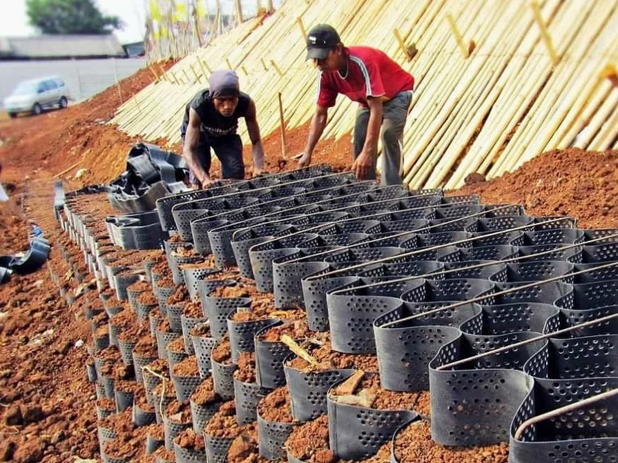 MASW / VS30 em Fortaleza: Perfil de Ondas de Cisalhamento